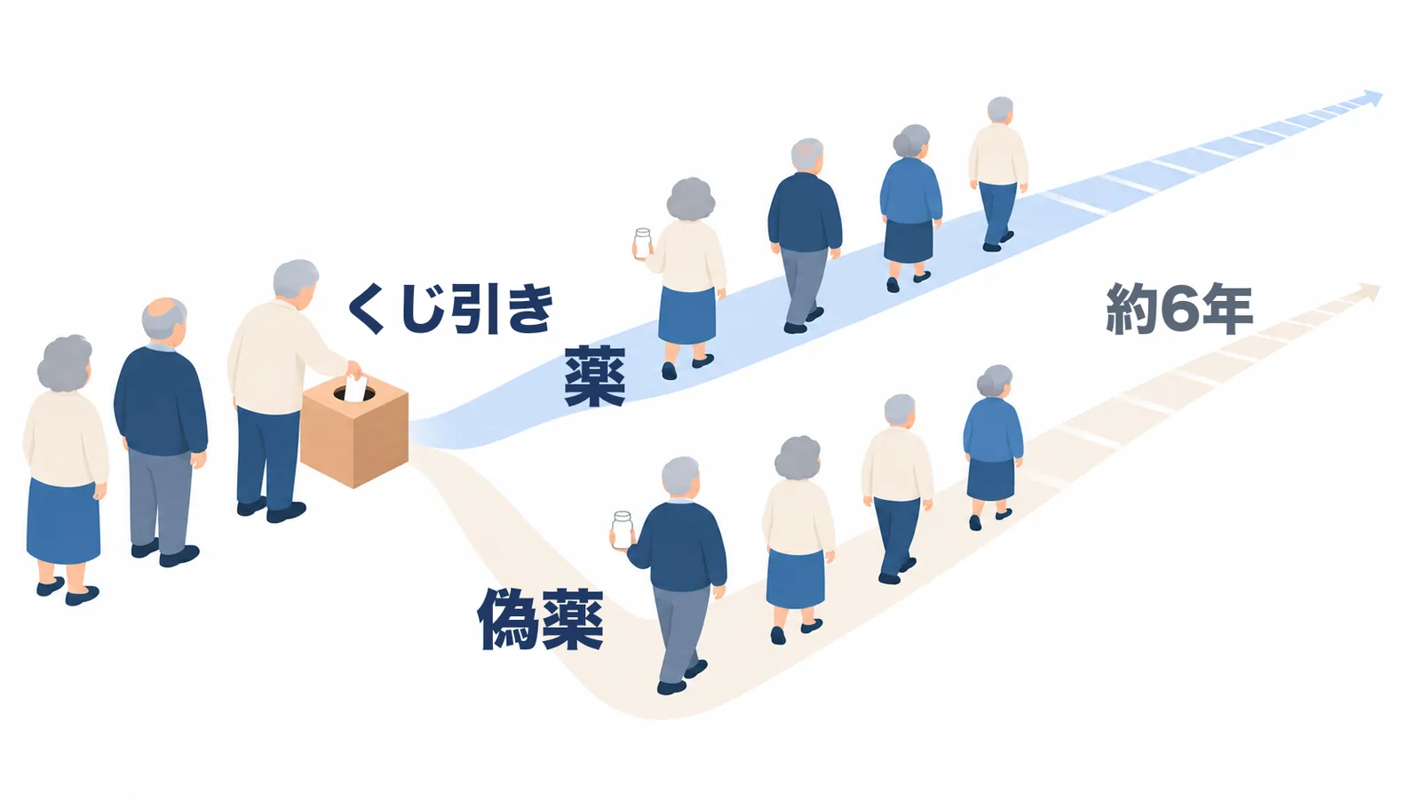 試験の仕組みのイラスト。70代の参加者が自分でくじ引きの箱から紙を引き、そこから2本の道が右奥へ分かれる。上の道「薬」に4人、下の道「偽薬」に4人が後ろ姿で「約6年」先へ歩いていく。先頭の人はどちらも同じ白い瓶を持っている。