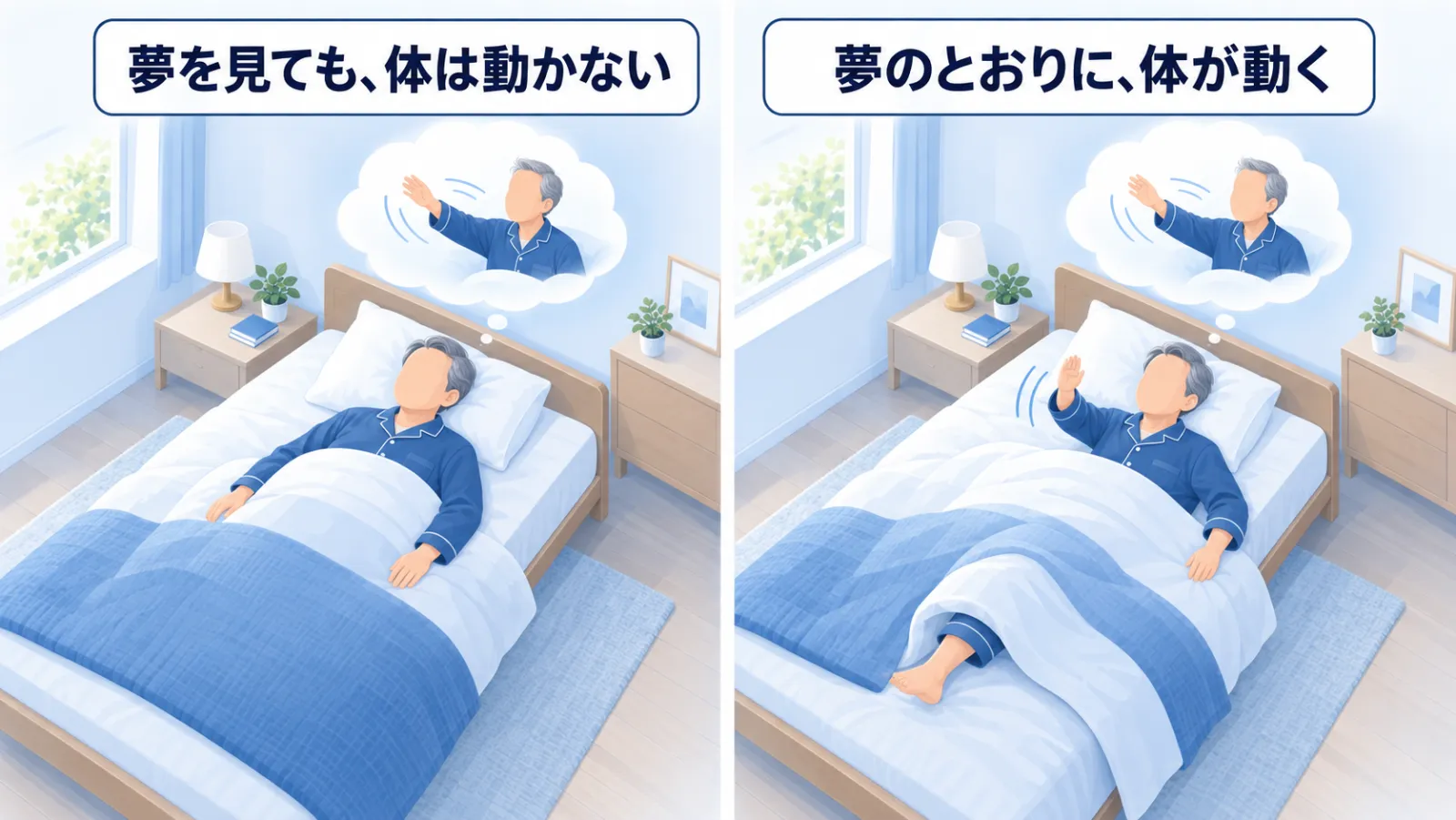 同じ寝室で眠る同じ男性を左右に並べた図。左「夢を見ても、体は動かない」＝夢の中で腕を振っていても、本人は静かに眠っている。右「夢のとおりに、体が動く」＝夢と同じように、本人の腕が布団から出て宙を払い、足も布団から出ている。
